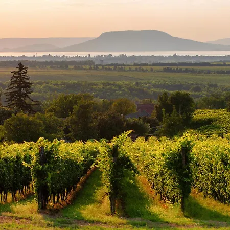 In 45322 Apartment *