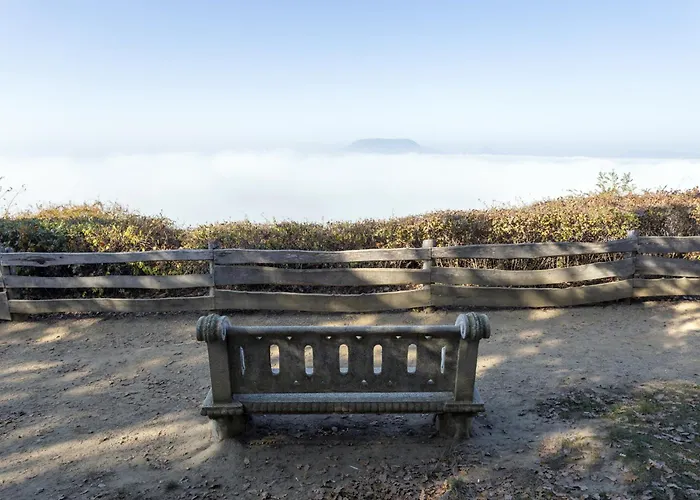 In 45322 Appartement *