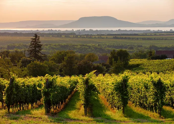 In 45322 Appartement *